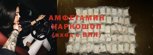 стафф Богданович
