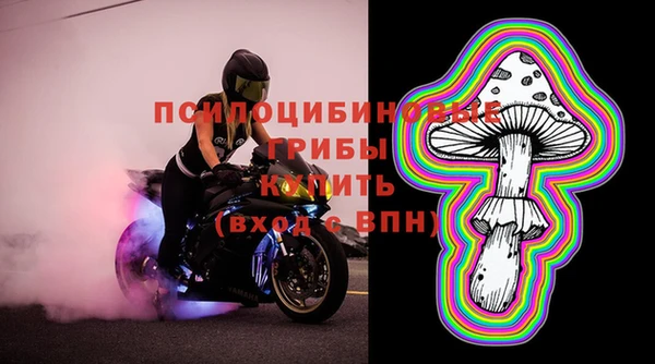 амф Богородицк