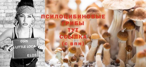 стафф Богданович